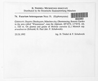 Image Associated With the Occurrence